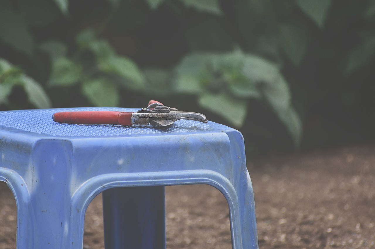 Are Biodegradable Plastics Really Eco-Friendly?